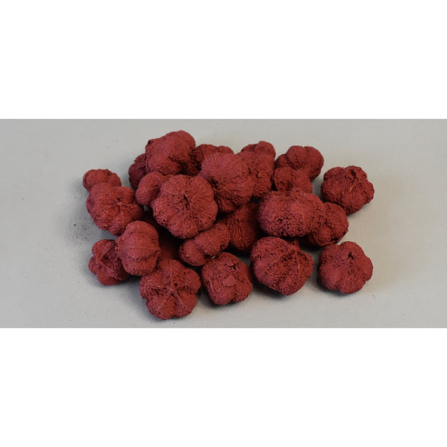 imagine produs Usturoi vopsit bordeaux