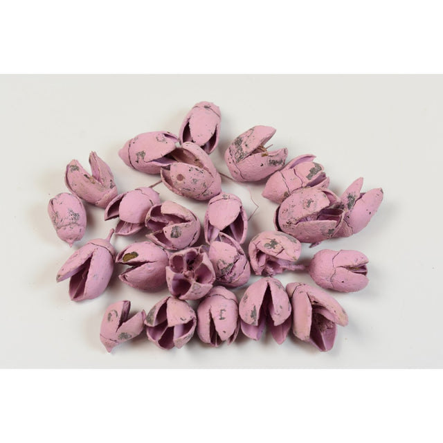 imagine produs Bakuli vopsit nalba