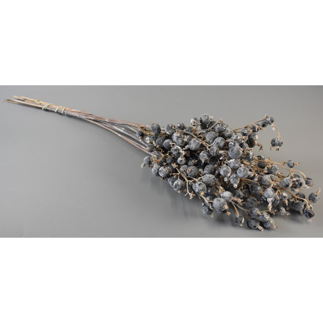 Creanga cu bilute neagra cu chiciura