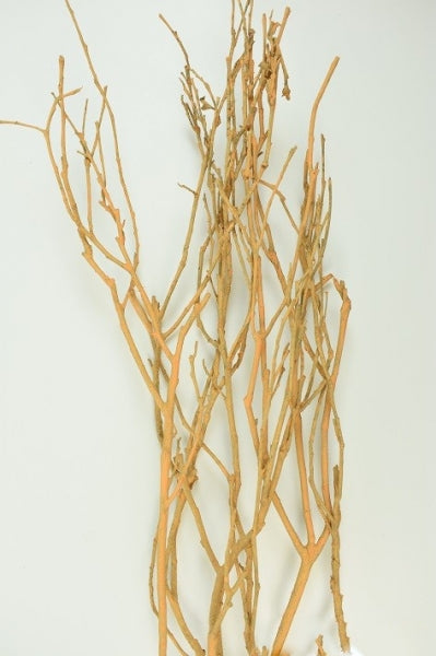 Legatura vity gally vopsit portocaliu