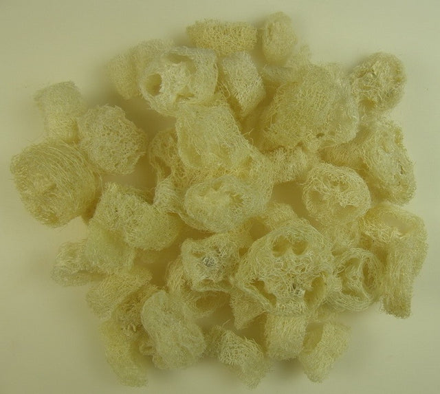 Felii de luffa 1,5cm inalbit