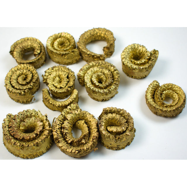 Coarna de berbec jumatati auriu