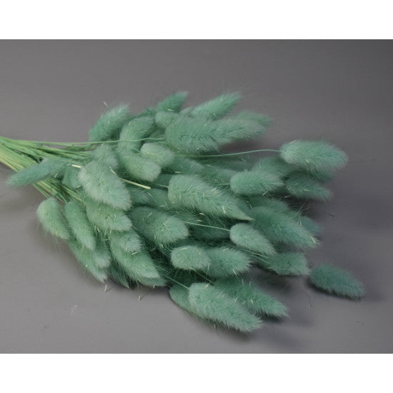 Lagurus 50g inalbit aqua