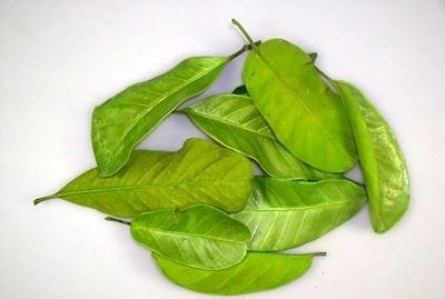 imagine produs Frunze mandioca verde deschis