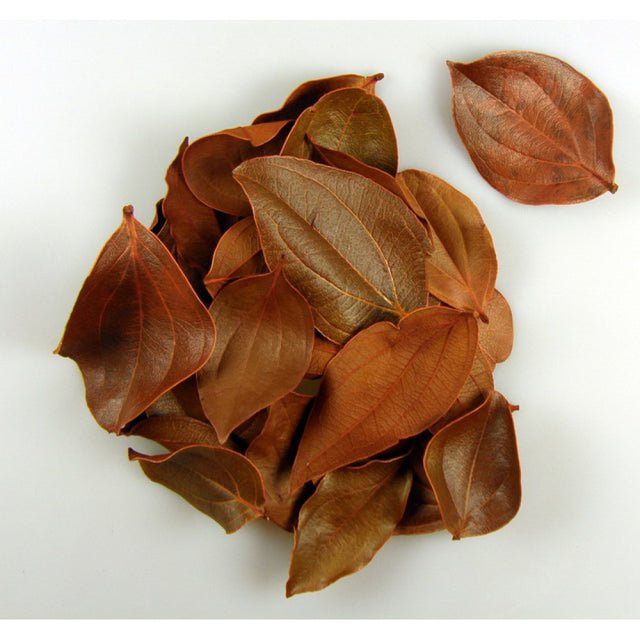 imagine produs Frunze catifelate portocaliu