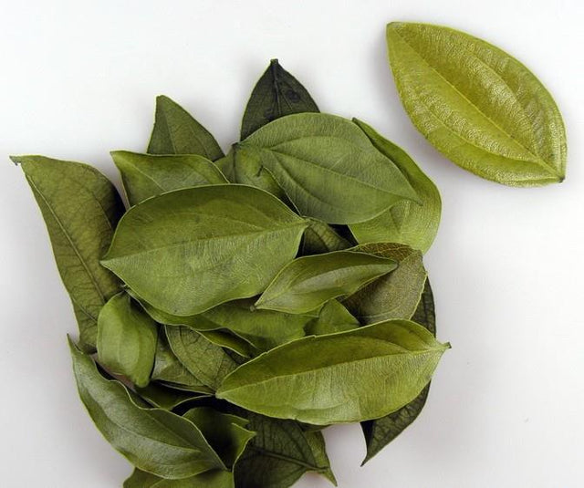 imagine produs Frunze catifelate