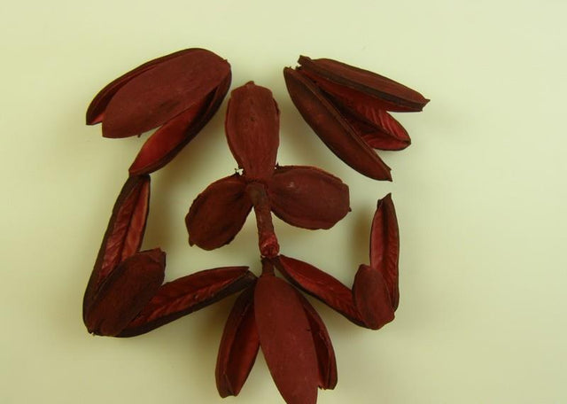 imagine produs Tridente