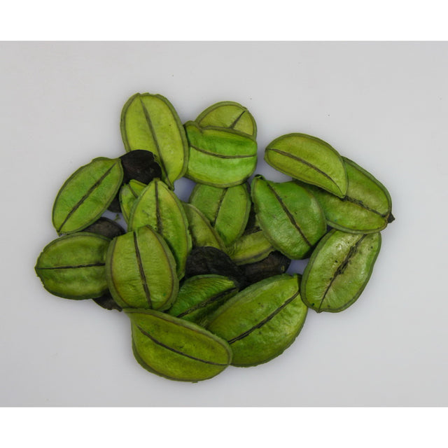 Asa Barata mini verde deschis