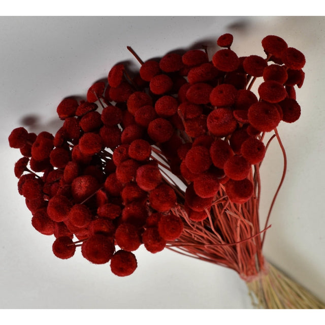 imagine produs Pavao 80gr rosu