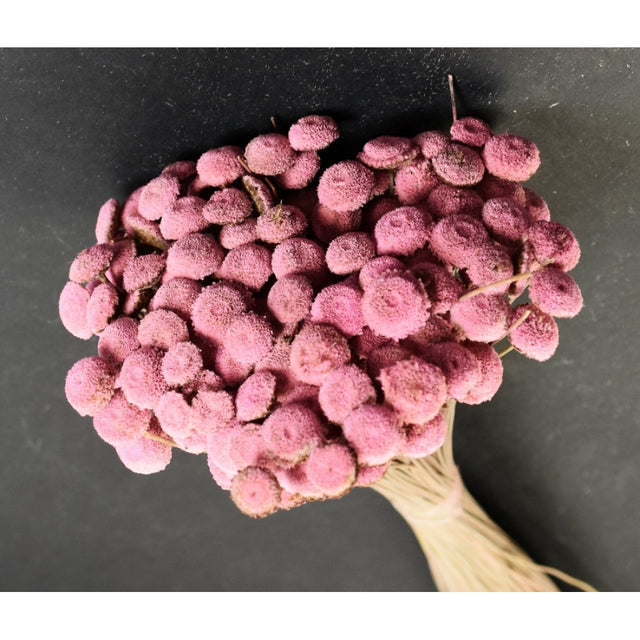 imagine produs Pavao 80gr roz