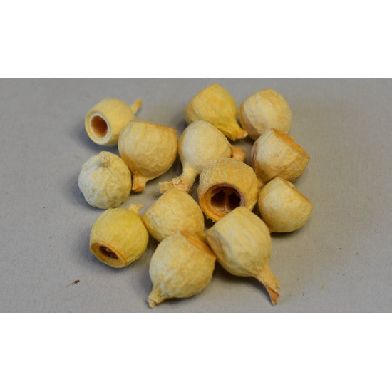 Roade de eucalypt mini inalbit