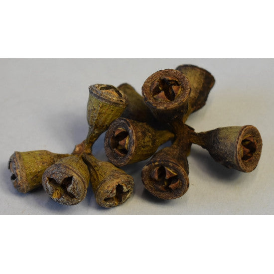 Roade de eucalypt mini natur