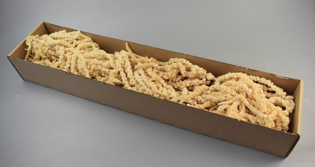 imagine produs Amaranthus caudatus 0.2kg inalbit