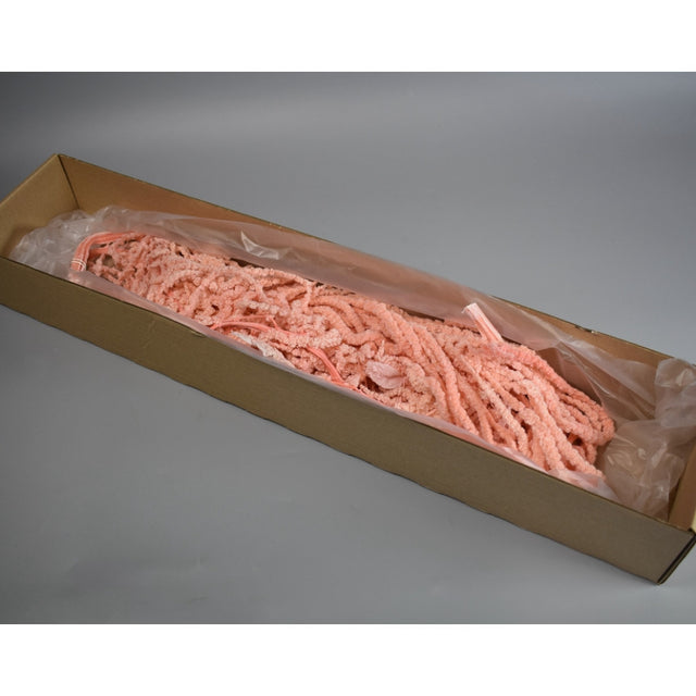 Amaranthus caudatus prep.inalbit roz