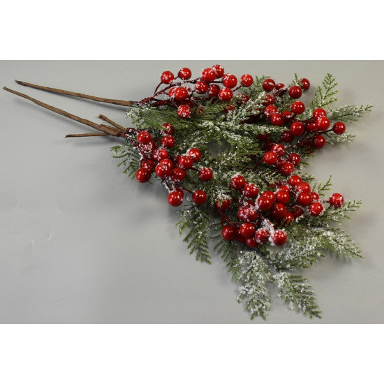 Pick tuia cu bilute inzapezit S/5