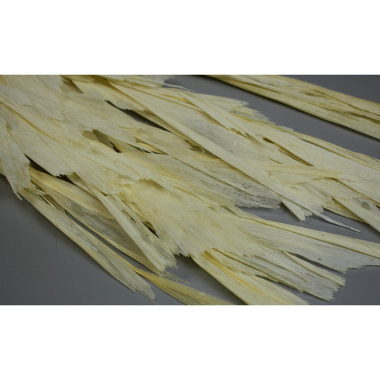 Frunza palmier inalbit S/10