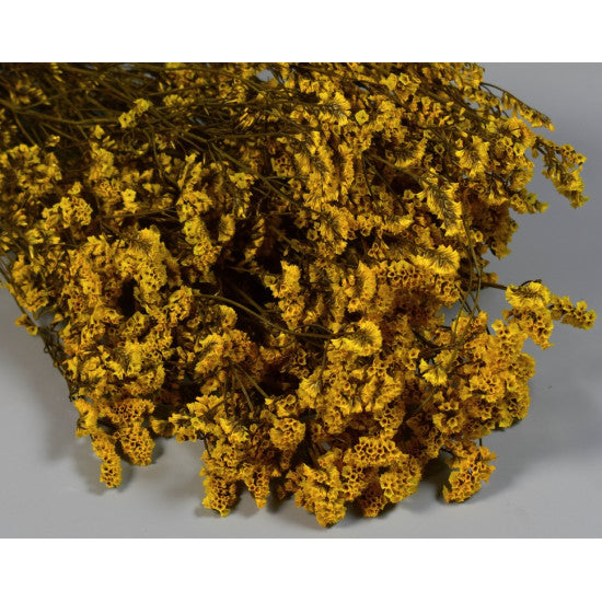 Limonium sinensis prep. galben