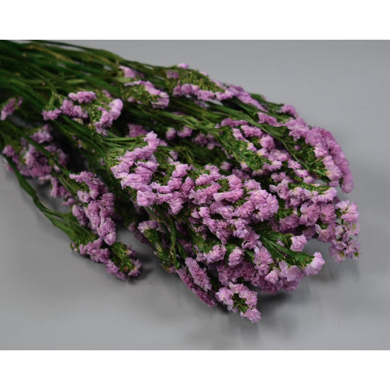 Limonium sinuatum preparat roz