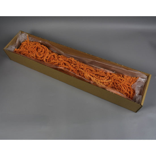 Amaranthus caudatus inalbit portocaliu