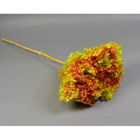 Fir hortensie 18-23cm preparat savanna