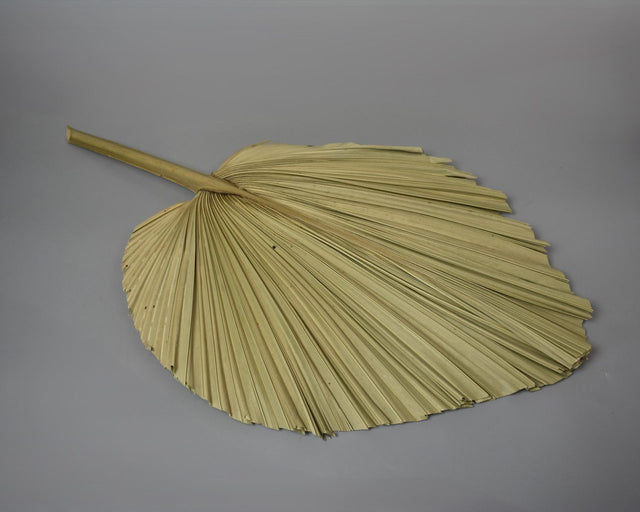 Frunza palmier natur forma inima 65x35cm