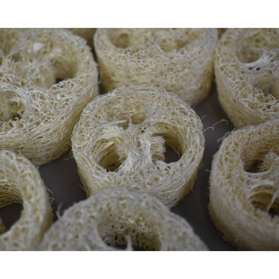 Felii de luffa 2,5cmx5-8cm inalbit