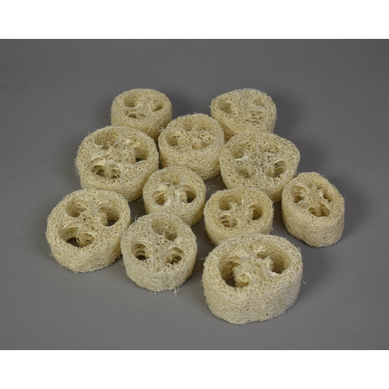 Felii de luffa 2,5cmx5-8cm inalbit