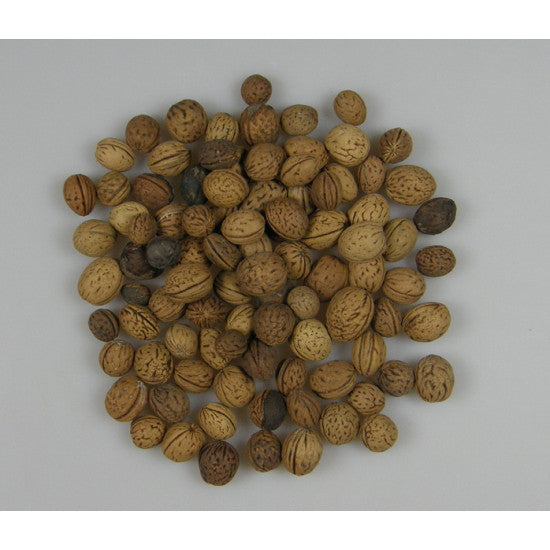 Samburi de piersica mini natur