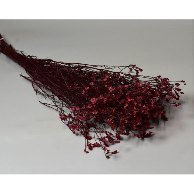 Limonium sinensis prep. capsuni