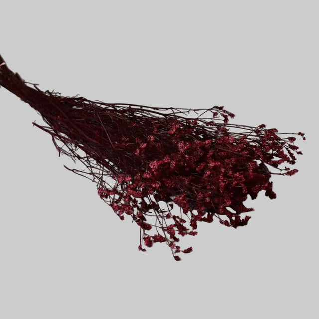 Limonium sinensis preparat capsuni