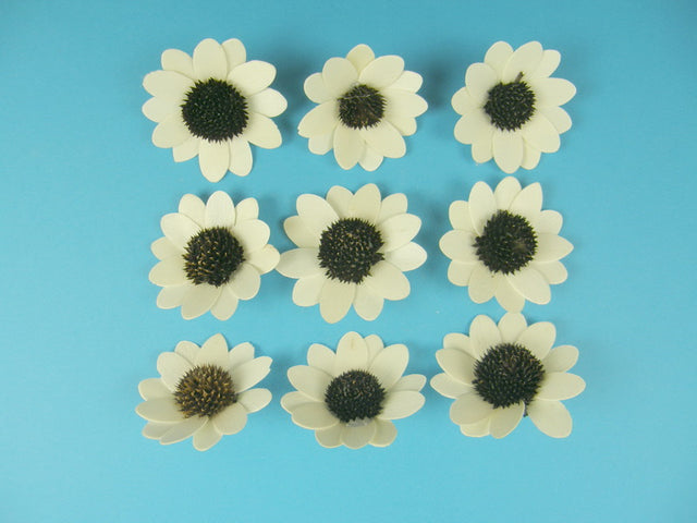 imagine produs Capete de margarete din lemn 5-6cm