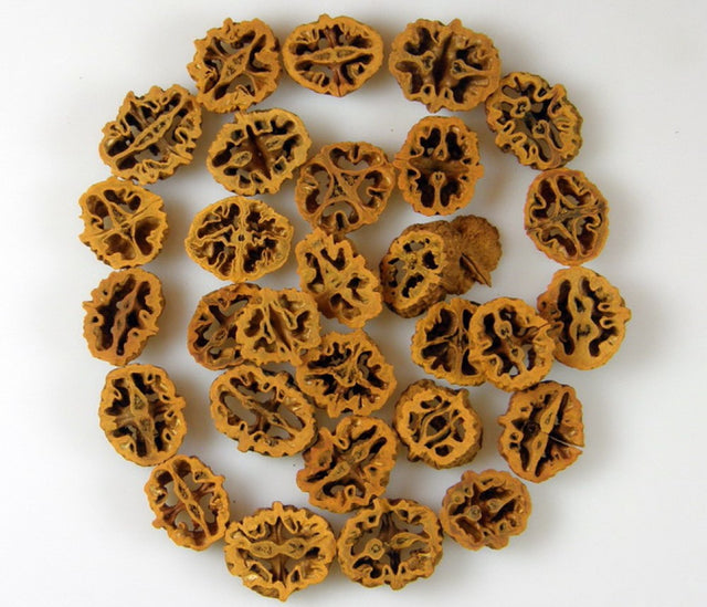 imagine produs Felii de nuca neagra portocaliu