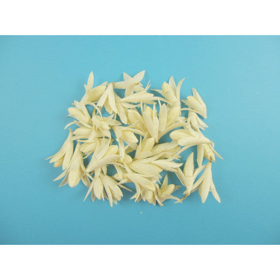 Stelute Lili inalbit