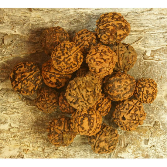 Samburi de creier natur 0,15kg/pachet