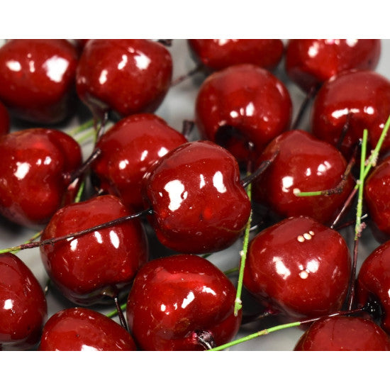 Pick mere 3.5cm S/35 bordeaux