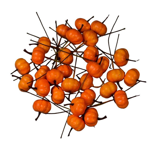Pick dovlecei 2.6cm S/30 portocaliu