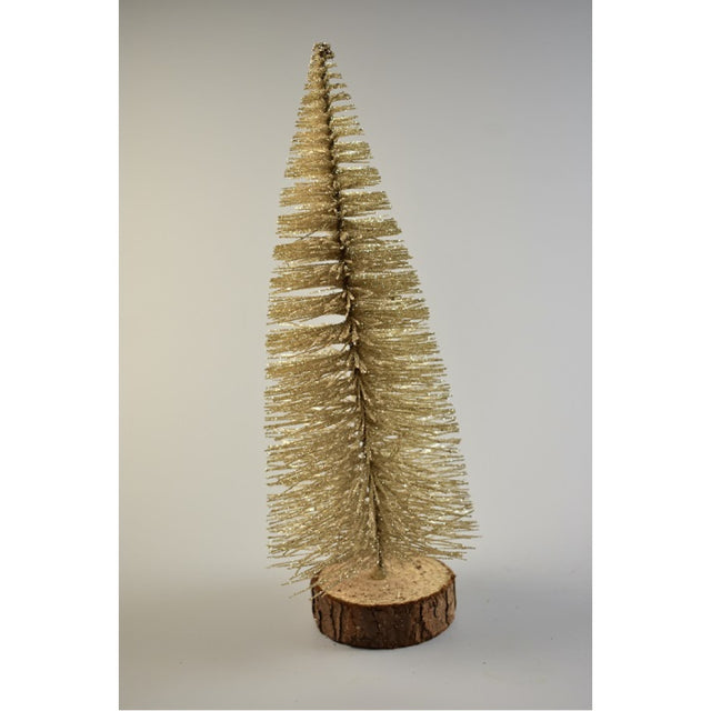 Set brad craciun pe talpa S/7 15cm sampanie