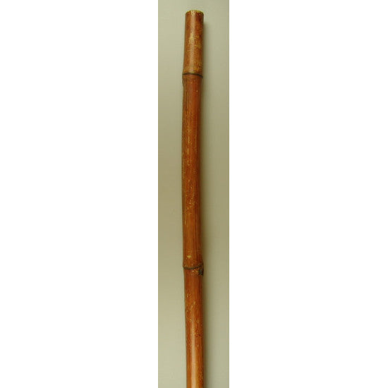 Bambus 2,1m×4-4,5cm portocaliu