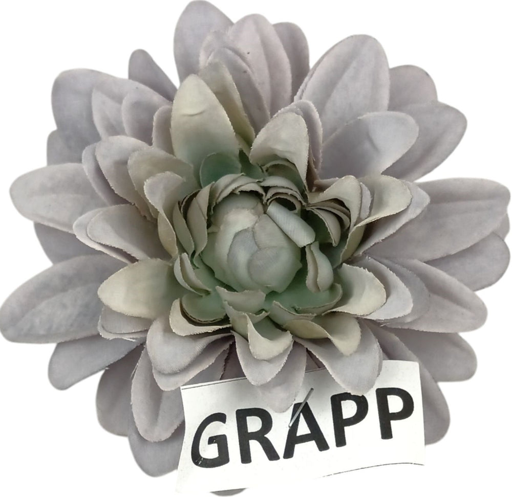 Cap dalie 10cm S/12 verde/mov deschis