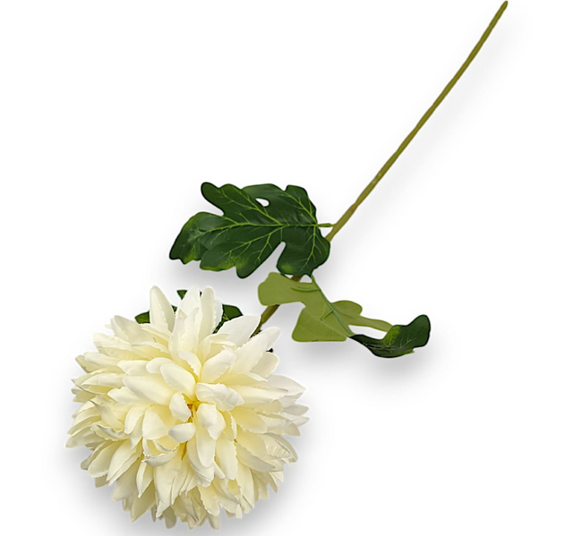 Fir crizanteme H:75cm crem