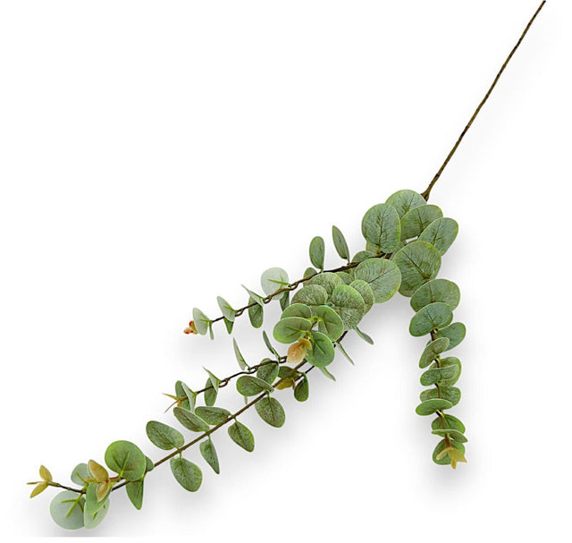 imagine produs Fir eucalypt x4 H:96cm