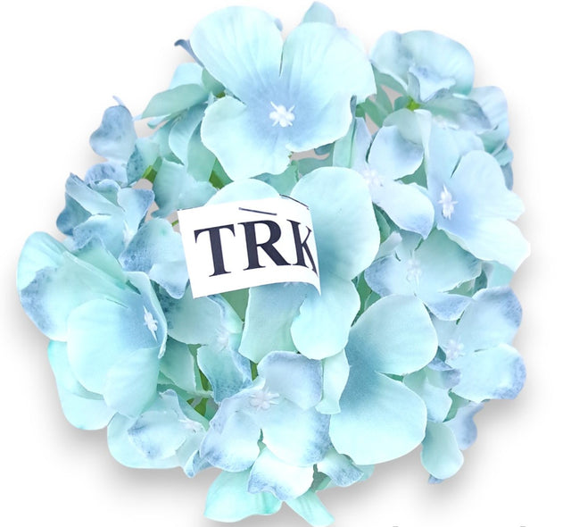 Capete hortensie 15cm s/12 turcoaz
