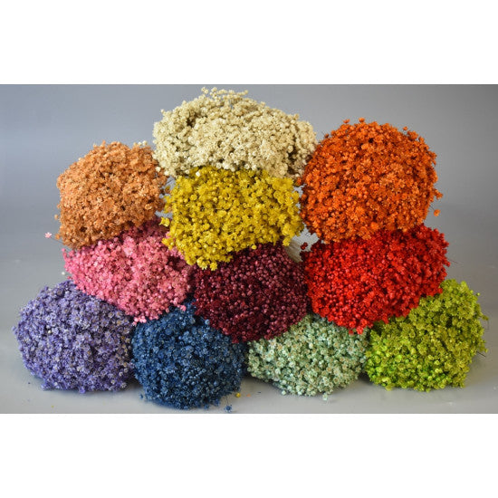 Glixia marcela 75g rosu