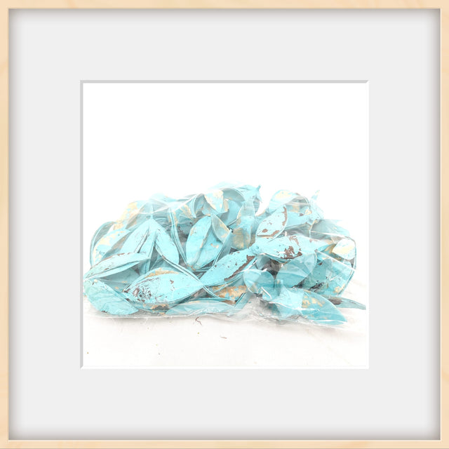 imagine produs Wild lily vopsit aqua