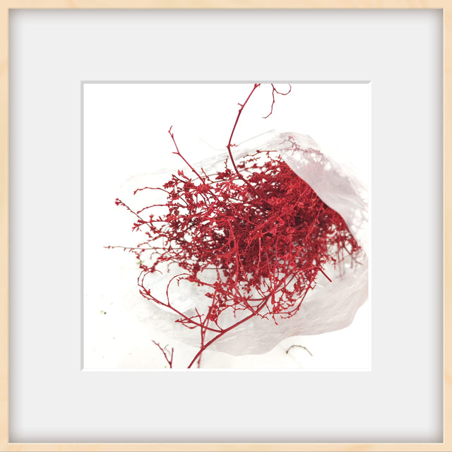 imagine produs Buchet Tatarica 60g rosu