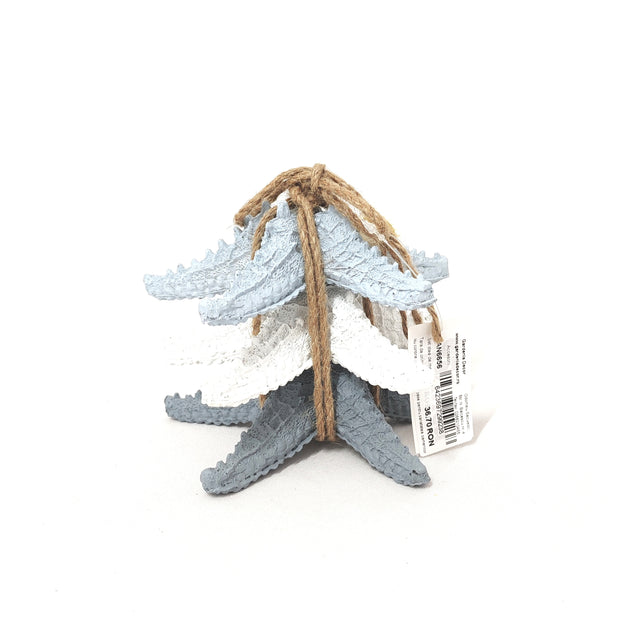 imagine produs Set Stea De Mare S/3