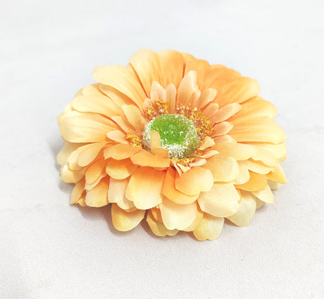 imagine produs Cap gerbera 11cm S/12 piersica