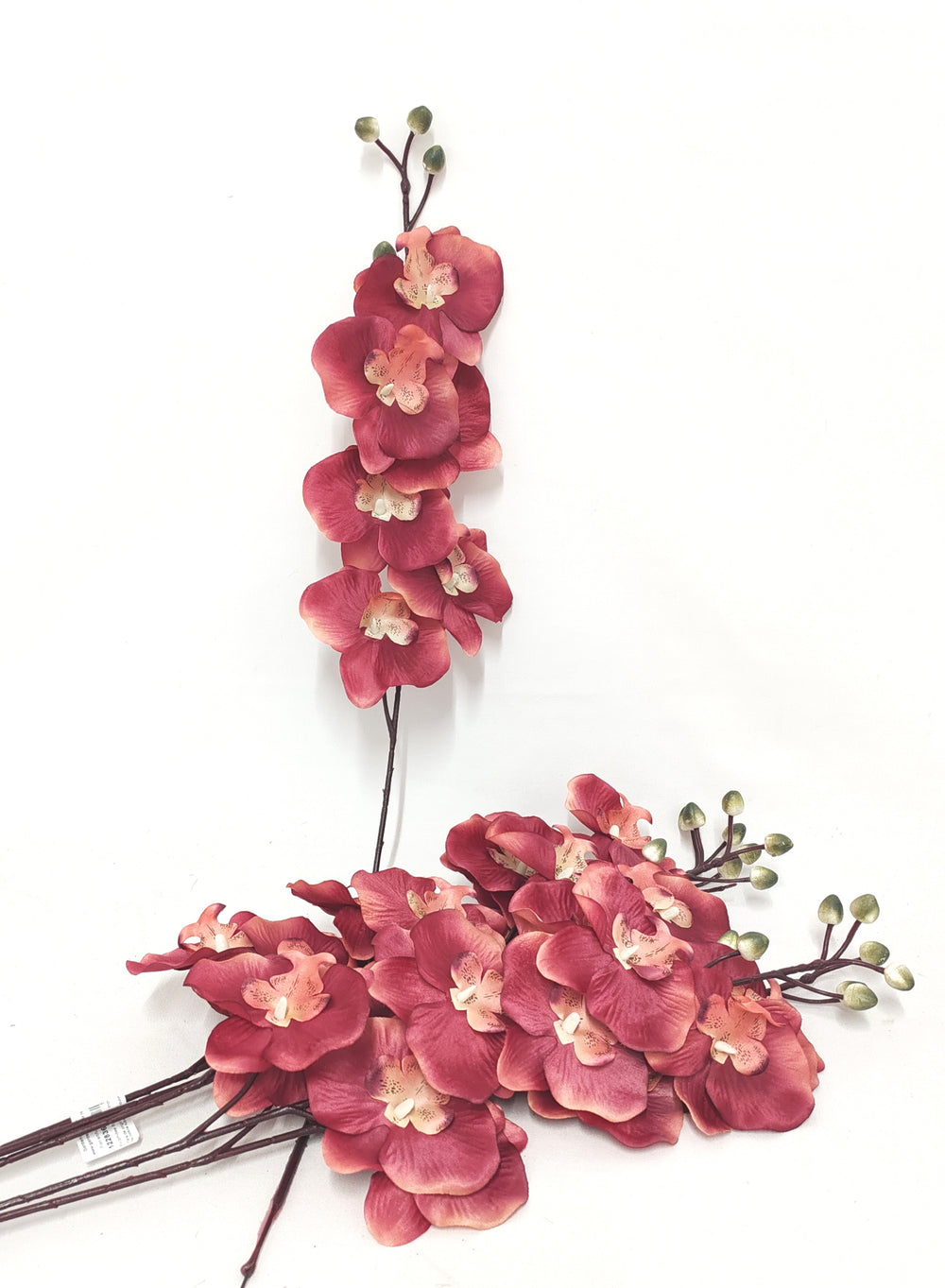 imagine produs Fir orhidee 80cm S/6 mov