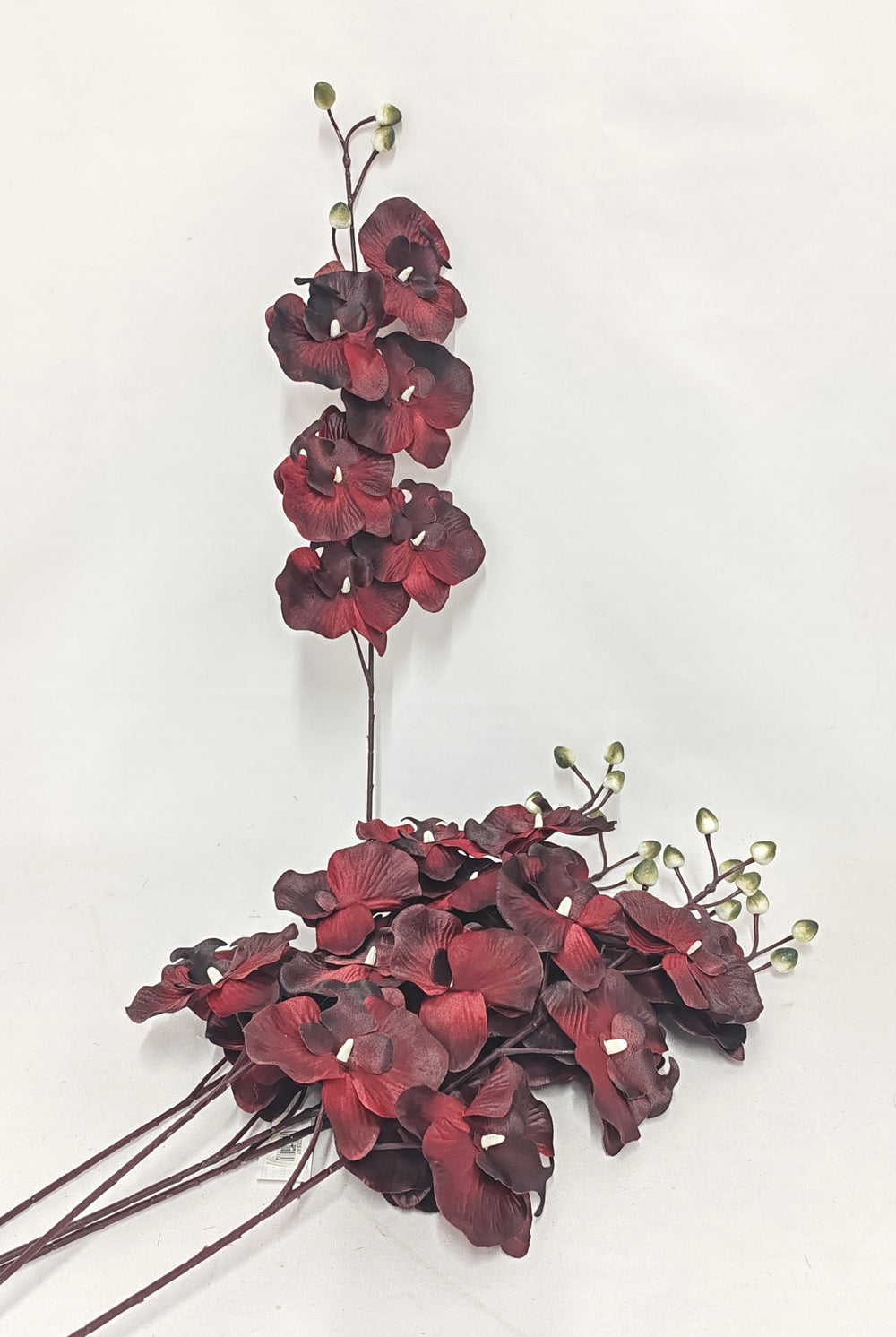imagine produs Fir orhidee 80cm S/6 bordeaux