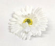 imagine produs Cap gerbera 9.5cm S/24 alb